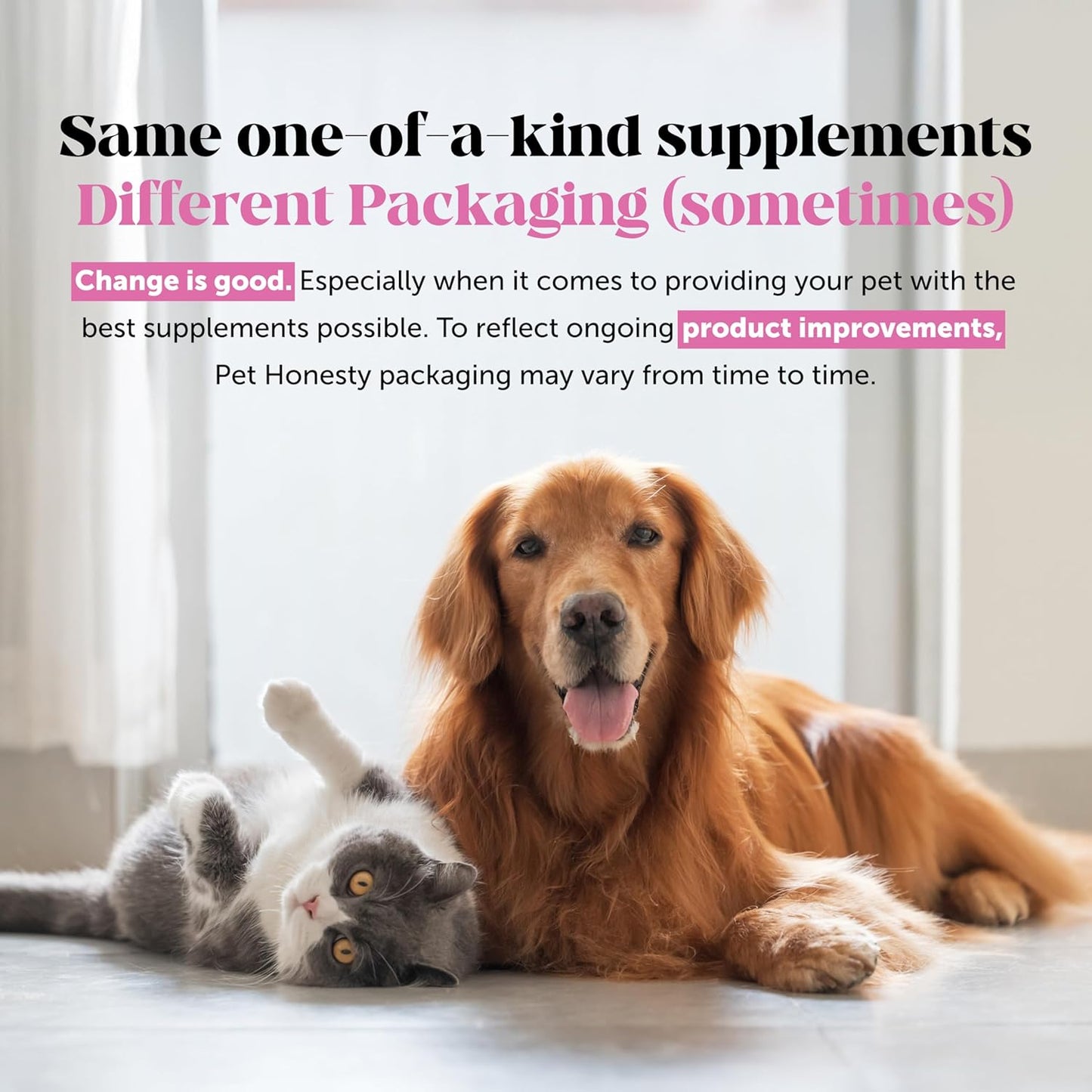 Pet Honesty Probiotics for Dogs