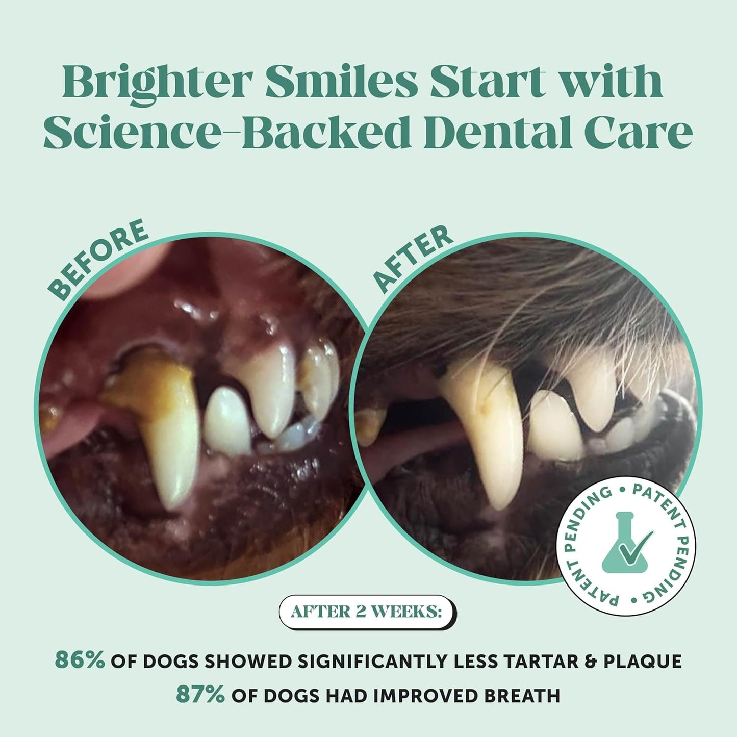 Pet Honesty Dental Powder