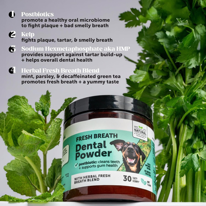 Pet Honesty Dental Powder